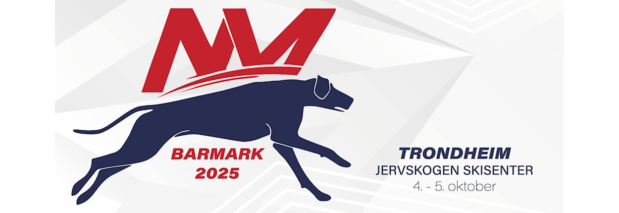 NM Barmark 2025, NC
